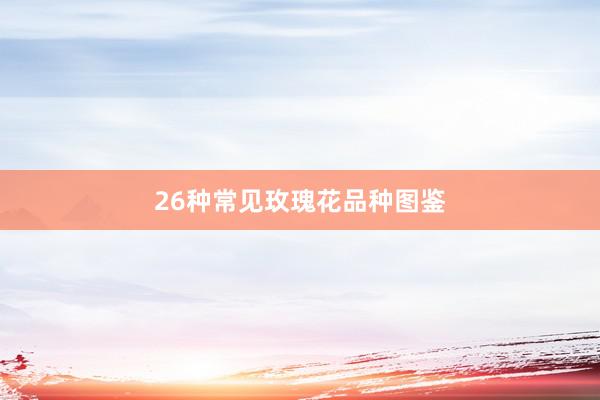 26种常见玫瑰花品种图鉴