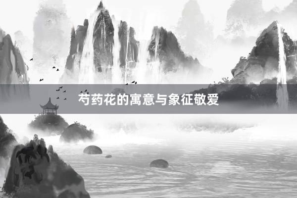 芍药花的寓意与象征敬爱