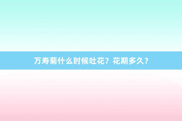 万寿菊什么时候吐花？花期多久？