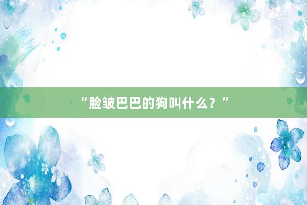 “脸皱巴巴的狗叫什么？”