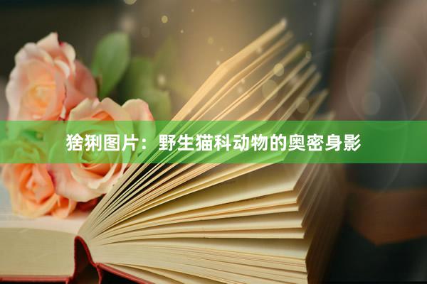 猞猁图片：野生猫科动物的奥密身影