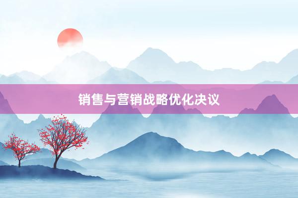 销售与营销战略优化决议